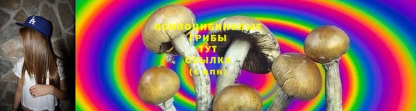 прущие крисы Михайловск