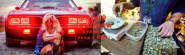 тгк Михайловка